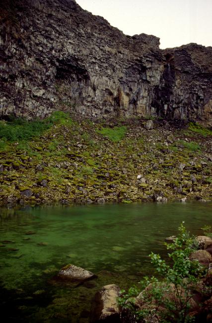 Parc naturel d'Asbyrg : les fulmars nidifient dans ces falaises 