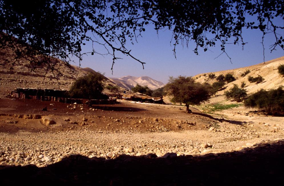 Campement bédouin