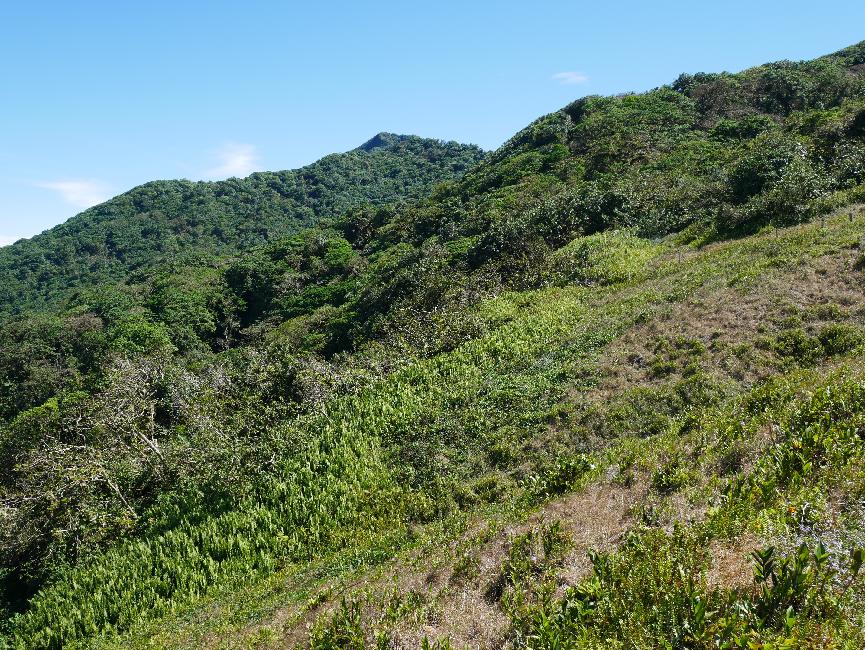 Pentes du volcan