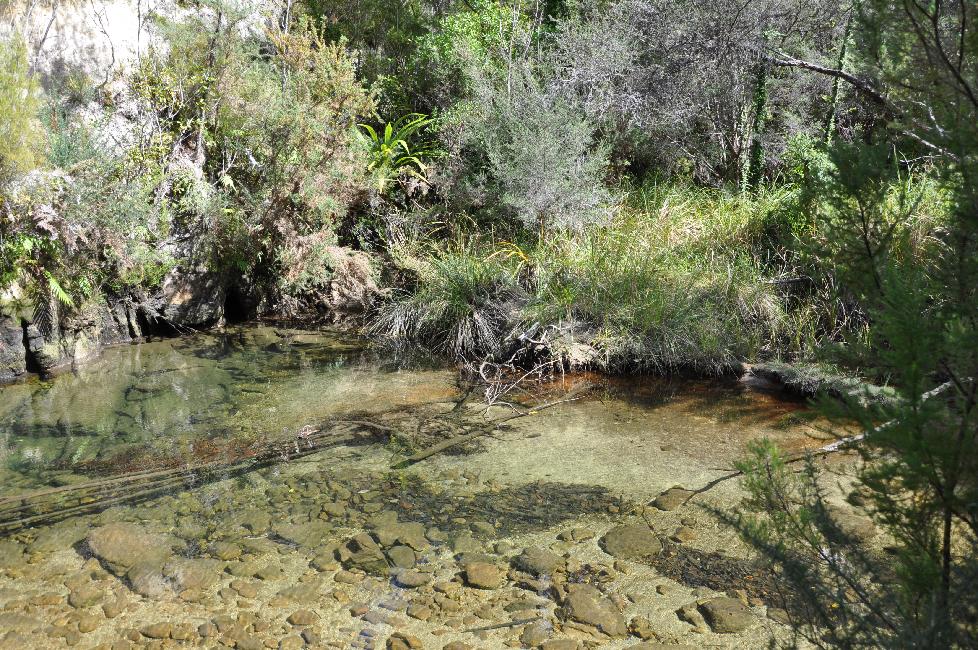 Parc Abel Tasman
