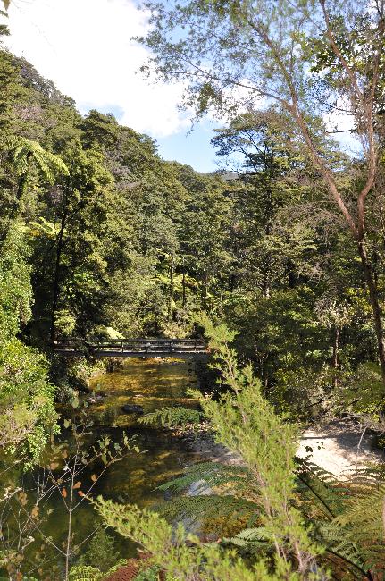 Parc Abel Tasman