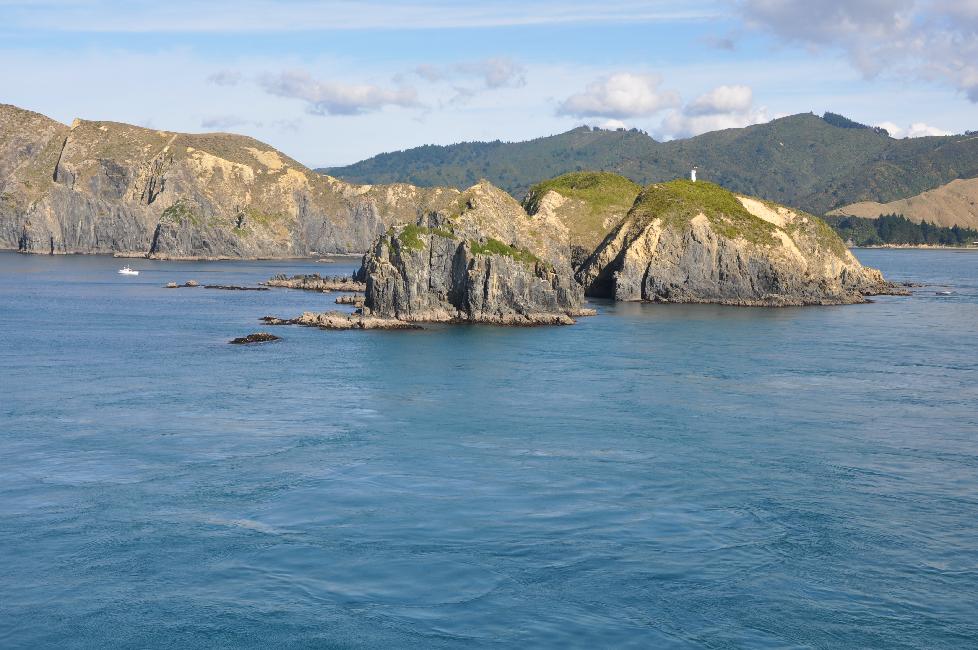 Traversée entre Wellington et Picton