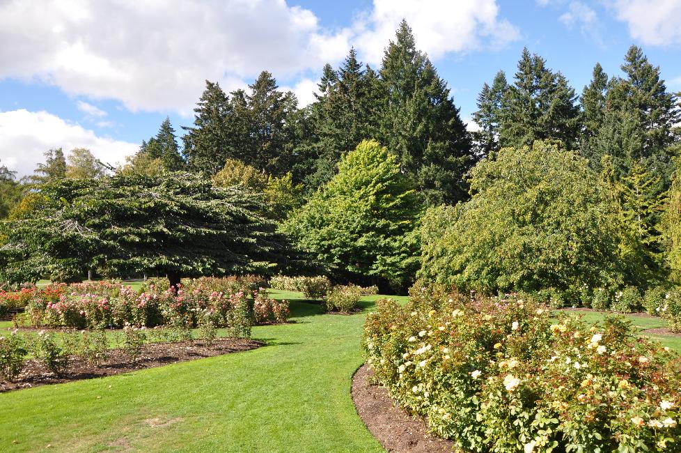 Queenstown : le jardin public
