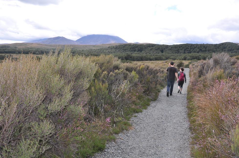 Balade dans le parc de Tongariro (Taranaki Falls)