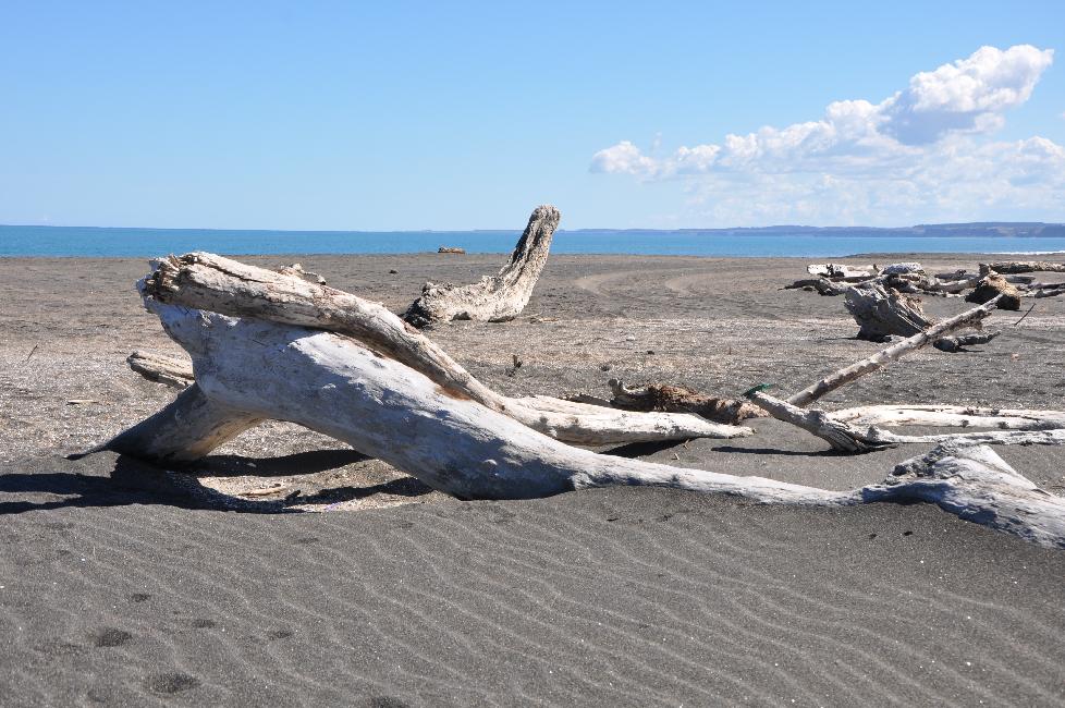 Plage de Whanganui