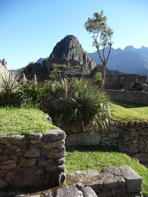 Site de Machu Picchu ; vue sur le Wayna Picchu