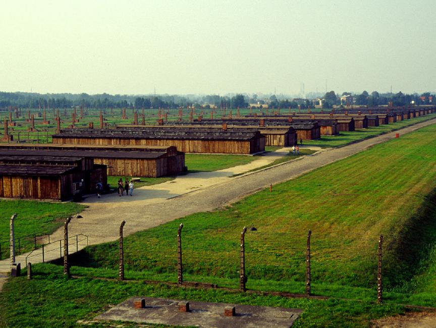 Birkenau ; le camp de quarantaine vu de la tour d'entrée du camp ; on devine la taille de la moitié du camp. Cette partie était constituée de baraques en bois, dont la plupart a été détruite avant la libération du camp. La partie symétrique que j'ai derrière le dos comprend des baraques en briques.