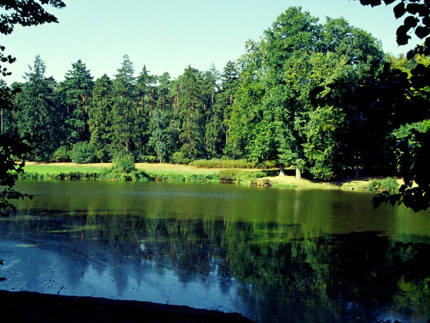 Kalisz et Ksiaz