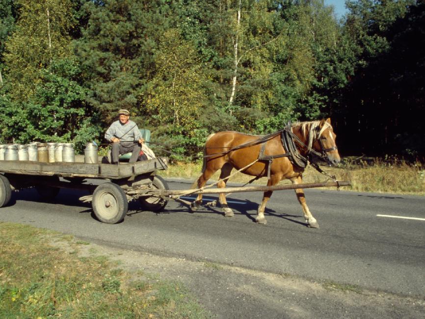 Ce sympathique paysan se demande encore si c'est lui ou son cheval que je voulais photographier. Par contre, les rencontres nocturnes sur les routes polonaises sont moins drôles : piétons eméchés, cyclistes sans lumière et en tenue sombre transforment la conduite en calvaire.