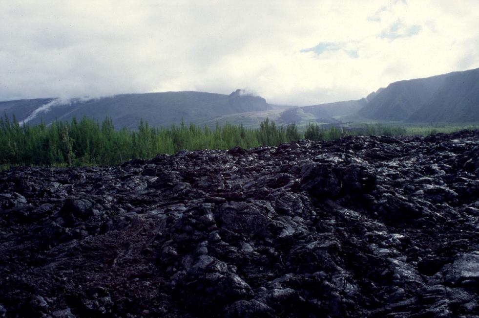 Coulée au niveau de la route