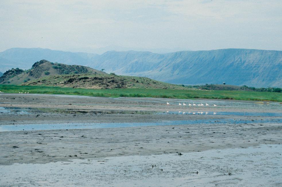 Le lac Natron