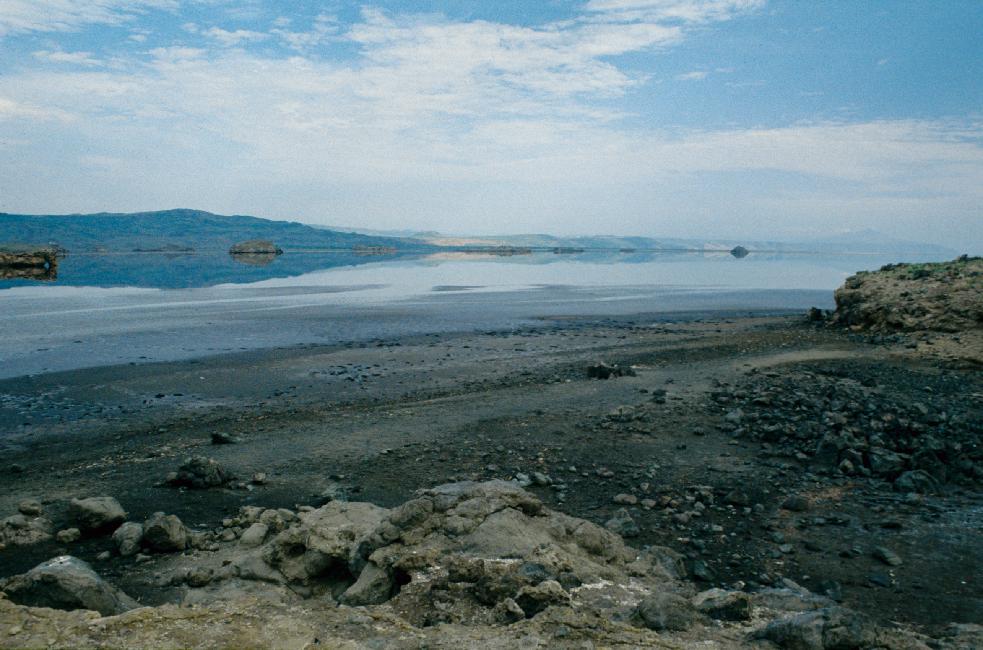 Les berges du lac