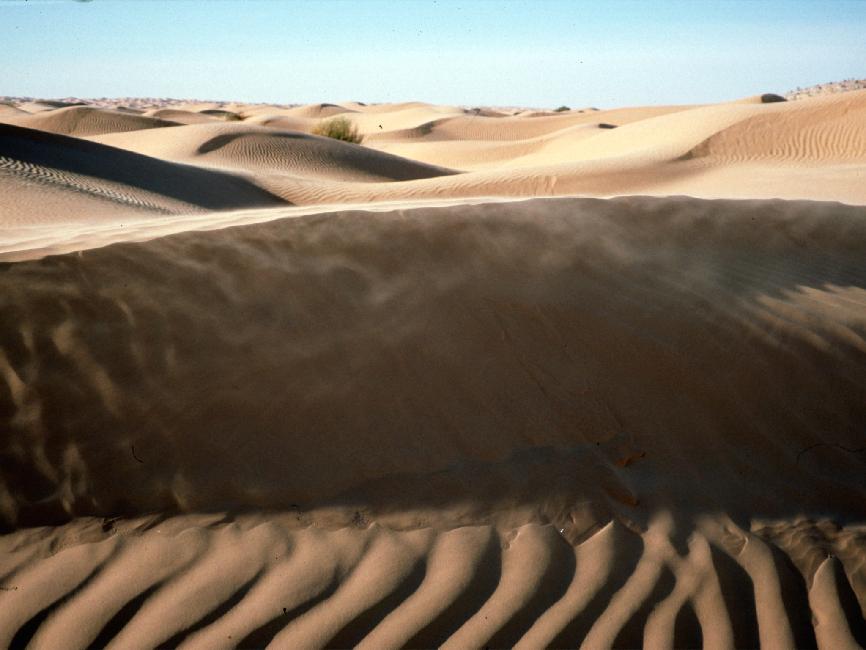 Le vent crée une pellicule de sable à la surface des dunes ; les appareils photos s'en souviennent encore. 