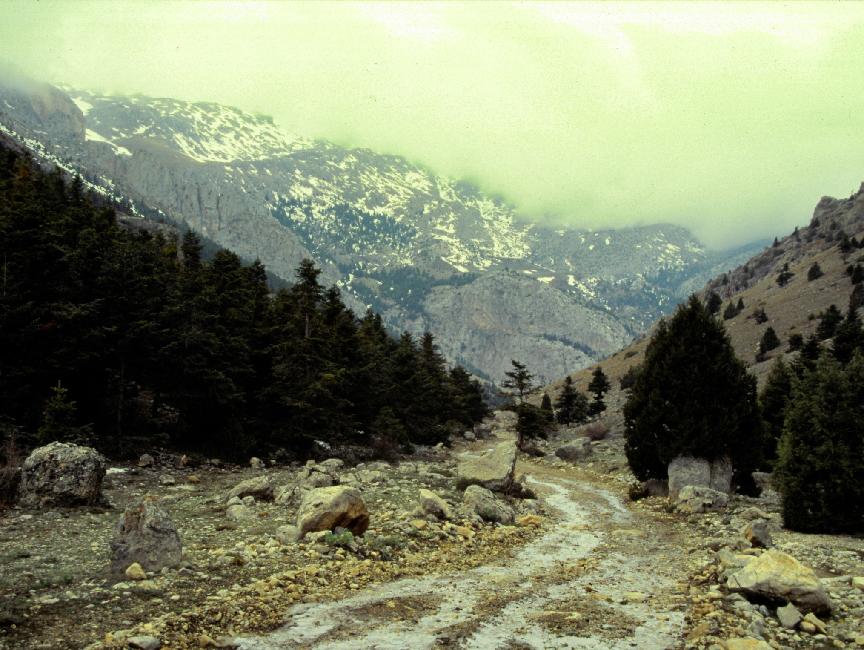 Montée vers le col